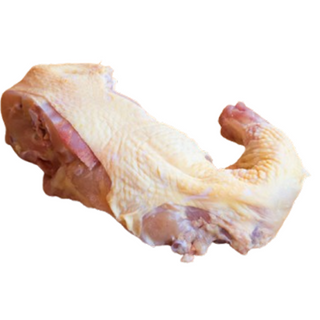 Pil. Ledja Sa Vratom