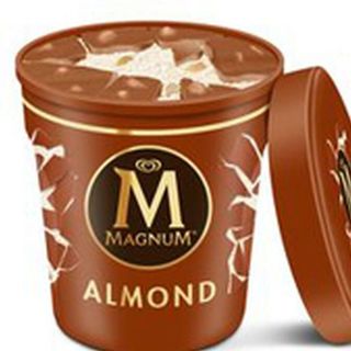 Magnum Pint Almond 450ml