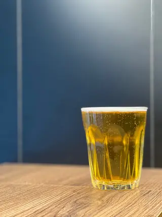 PILSNER Lidskoe 1l