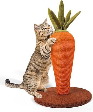 Griffoir Carotte Jouets pour Chats 30/40/55h  cm