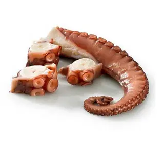 Rejo de Pulpo 0.30 Kg aprox.
