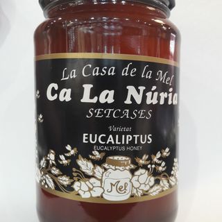 Miel Artesanal De Eucalipto Ca La Nuria. Frasco 500 Gr.