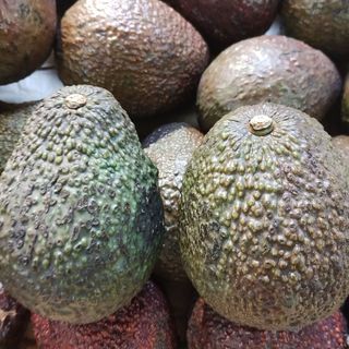 Aguacate Hass Bio Kg