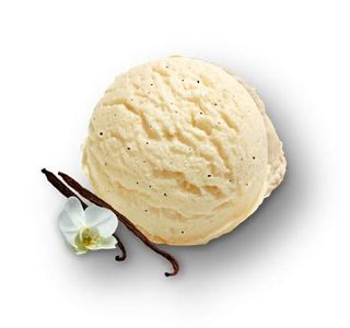 Tarrina De Sabor Vainilla 4,8L 1 Ud