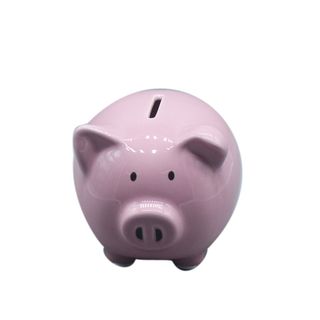 Be Cool Kasica prasica, roze ,A095384