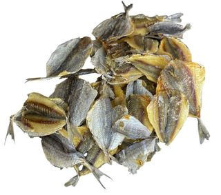 Жовтий смугастик