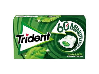 Trident Spearmint Pastilhas Elásticas 22g