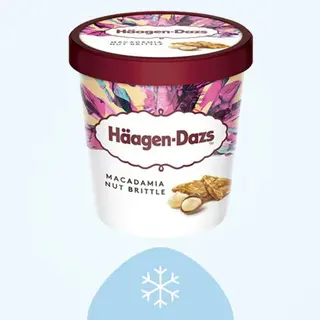 H-Dazs Nueces Macadamia