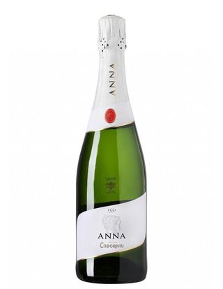 Anna Codorniu
