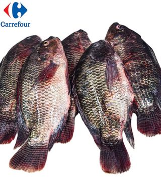 Carpe d'Eau Douce 800G-900G