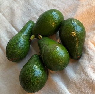 Aguacate Bacon ecológico (700g) - 3 Uds.