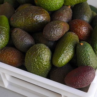 Aguacate Hass ecológico (560g) - 4 Uds.