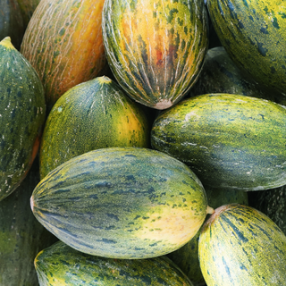 Melón ecológico piel de sapo - 1 Ud.
