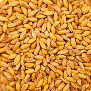 Espelta Ecológica  (500g)