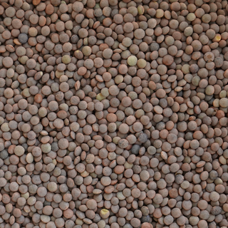 Lenteja Pardina ecológica (500g)