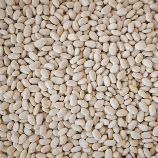 Alubia Blanca ecológica (500g)