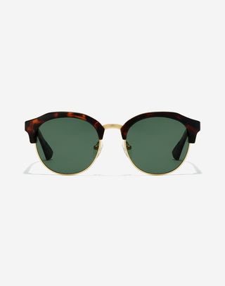 Classic Rounded - Polarized Alligator