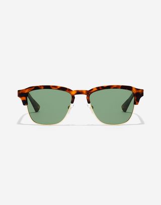 New Classic - Polarized Alligator