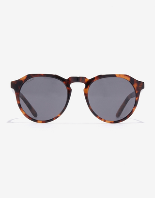 Gafas De Sol Carey Dark Warwick X