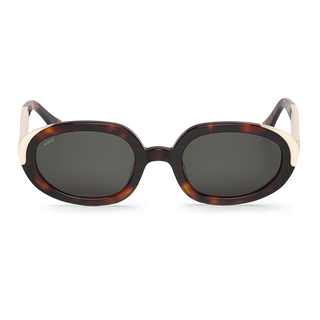 Society- Solarte- With Classical Lenses