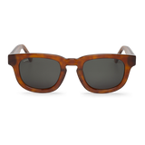 Cedar - Siesta - With Classical Lenses