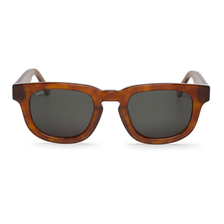 Cedar - Siesta - With Classical Lenses