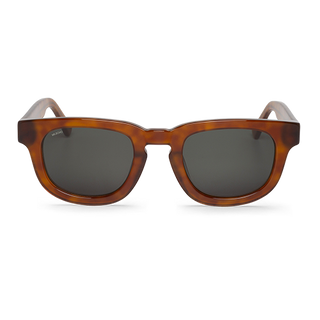 Cedar - Siesta - With Classical Lenses