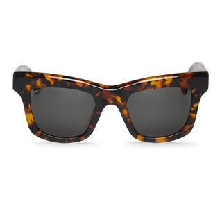 Cheetah - Montauk - With Classical Lenses