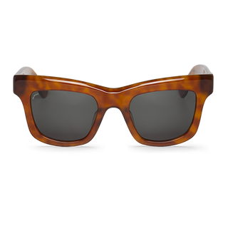 Cedar - Montauk - With Classical Lenses