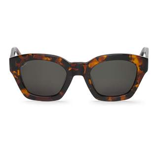 Cheetah - Barrosa - With Classical Lenses