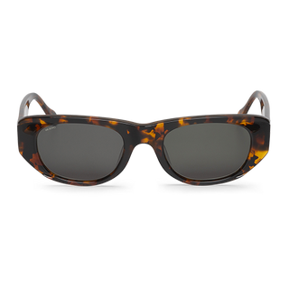 Cheetah - Guyam - With Classical Lenses