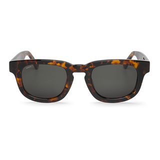 Cheetah - Siesta - With Classical Lenses