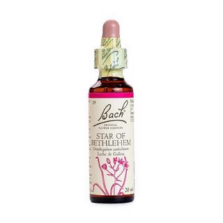 Bach Flor 20Ml Star Of Bethlehem