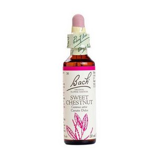 Bach (30) Sweet Chestnut 20Ml