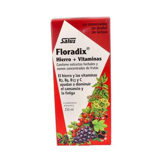 Floradix Elixir 250 Ml.