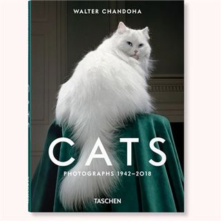 Walter Chandoha. Cats. Photographs