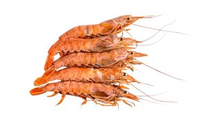 ლანგუსტინი 750გრ