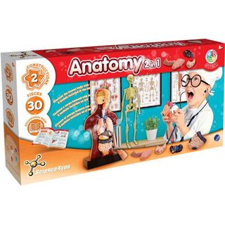 Kit Anatomía Humana 2 en 1-80002229