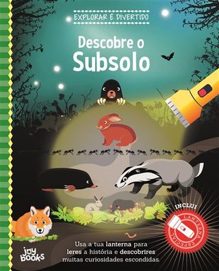 Explorar é Divertido - Descobre o Subsolo