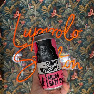 Wild Raccoon - simply impassible