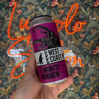 Wild Raccoon - 5 minute window