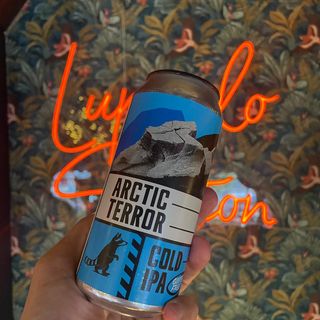 Wild Raccoon - Arctic Terror