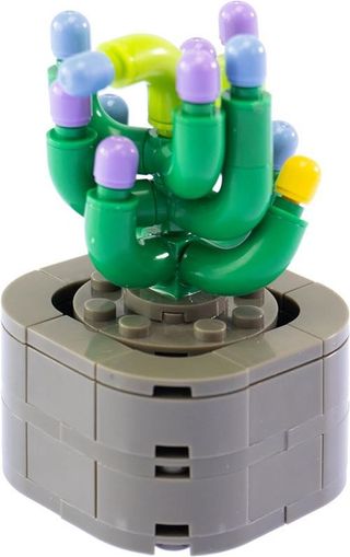 Nice Mattoncini Exotic Plants Sanseveria