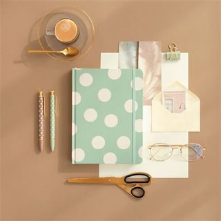 CHARUCABULLET TD GRANDE MINT