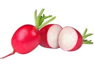 Radis 500g