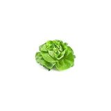 Salade laitue 500g
