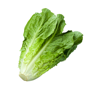 Salade romaine 500g