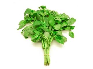 Basilic frais 1bote (rabta)