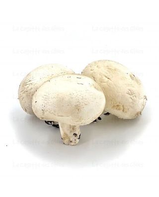 Champignon frais 500g