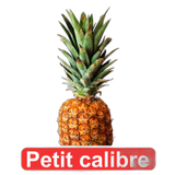 ananas petit calibre 1 piece